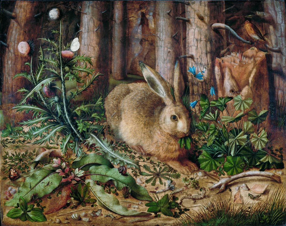 Forest Hare Customzied Animal Wallpaper Mural