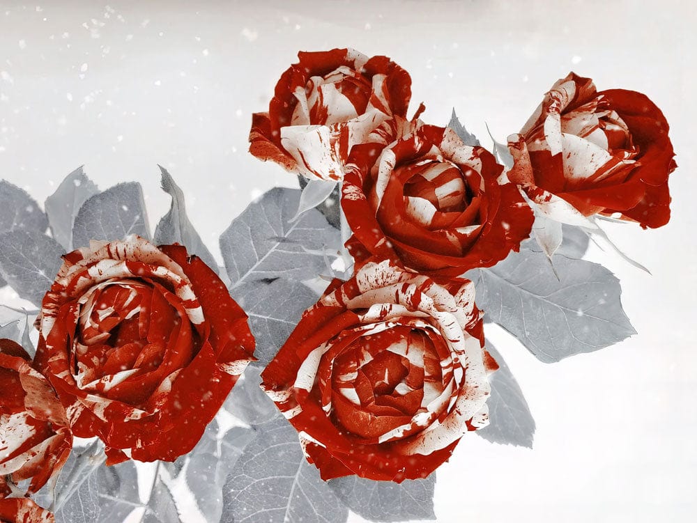 Red Rose Floral Art Mural Wallpaper