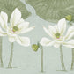 White Watercolor Lotus Painting Art Design