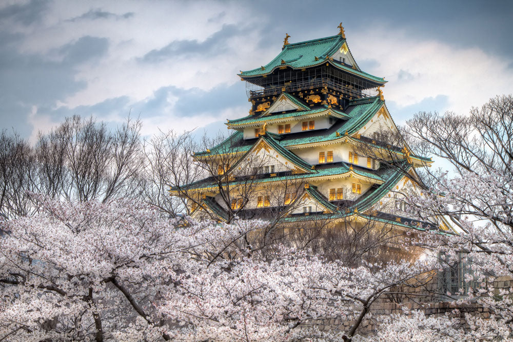 Cherry Blossom Osaka Castle Mural Wallpaper