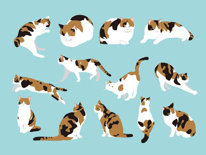 ctas Activity animal wallpaper mural art