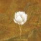 Gold Plated Lotus Flower Wallpaper Home Decor