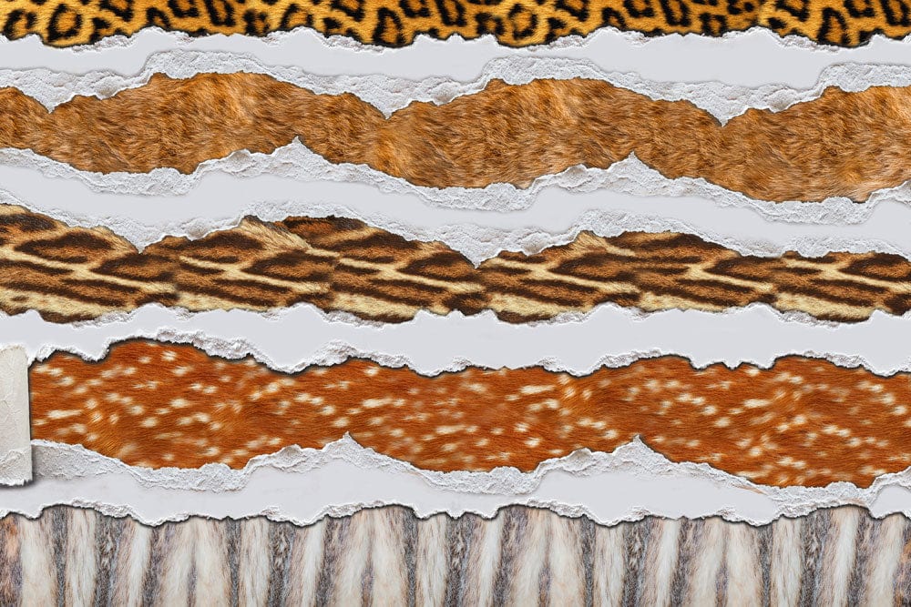 a variety of animal fur wallpaper murals for room design