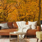 Decoration for the Family Room with an Autumn Path Landscape Mural Wallpaper