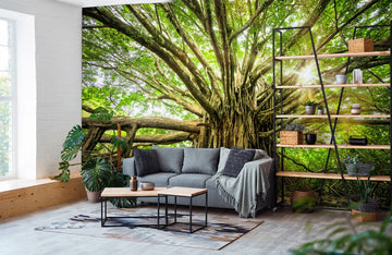 Papier Peint Panoramique Grand Arbre Antique