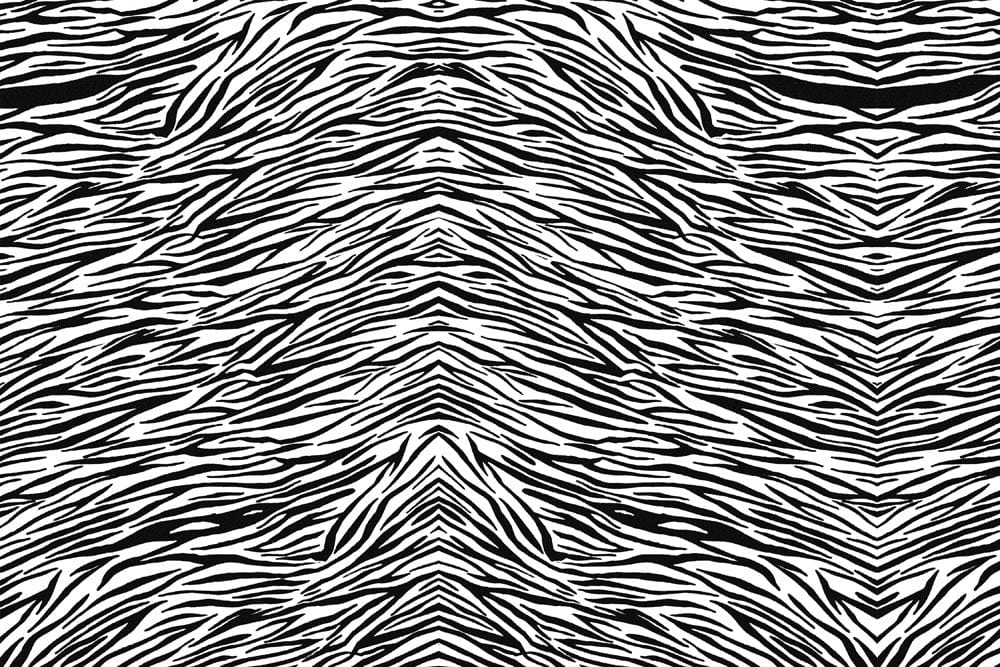 Bold Zebra Stripe Pattern Mural Wallpaper