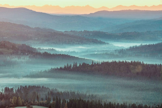 Blue Foggy Forest Wallpaper Mural