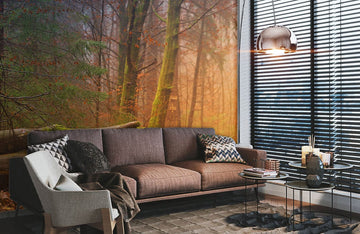 Mystic Forest Trail Landscape Mural Wallpaper