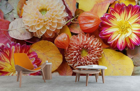 Wallpaper mural featuring colorful dahlias for use as a decoration in the hallway