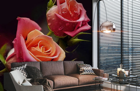 Wallpaper mural with dewdrops on roses, perfect for use as living room decor.
