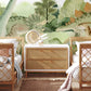 Wallpaper mural featuring friendly interactions between dinosaurs, perfect for use as nursery decor.
