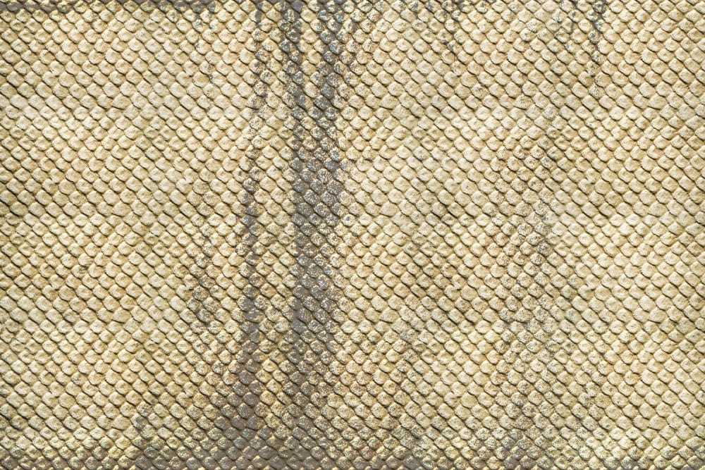 Papier Peint Panoramique Peau de Serpent Séchée