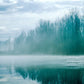 Wallpaper mural for home decoration featuring a misty forest lake.
