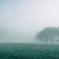 Home Decoration Heavy Fog Field Wallpaper Mural for Use in