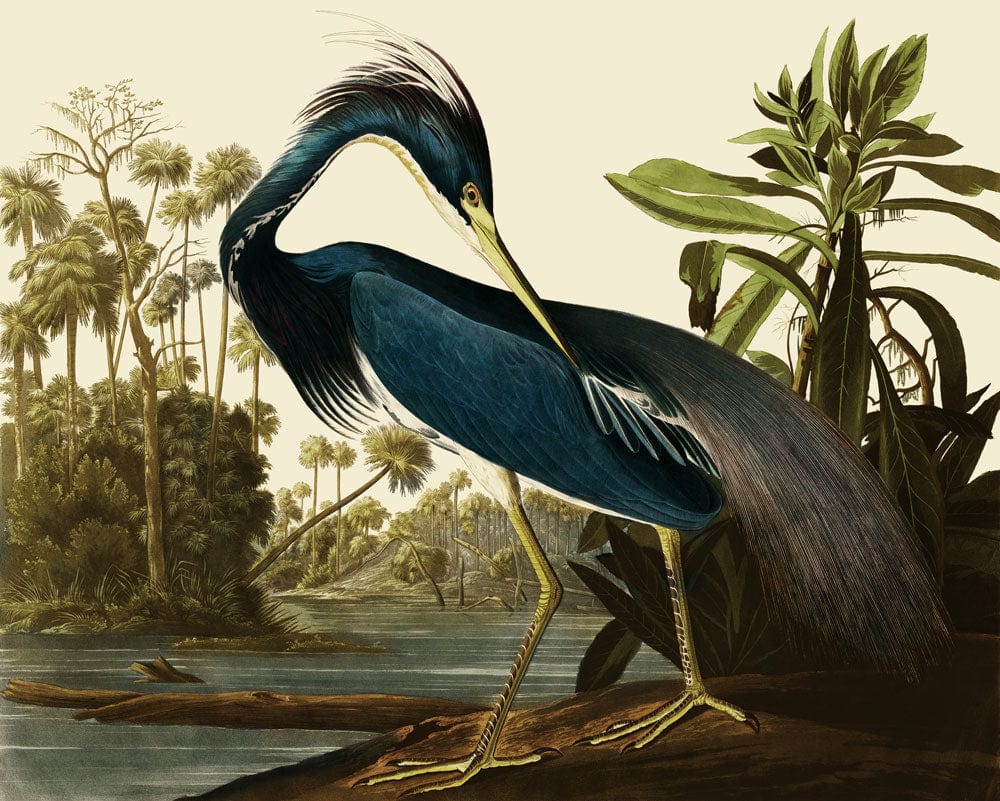 Heron wallpaper mural for your home