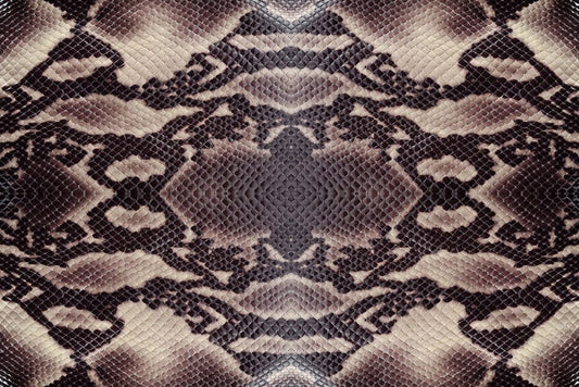 Home Decoration Wallpaper Mural Modeled After a Real Python Skin