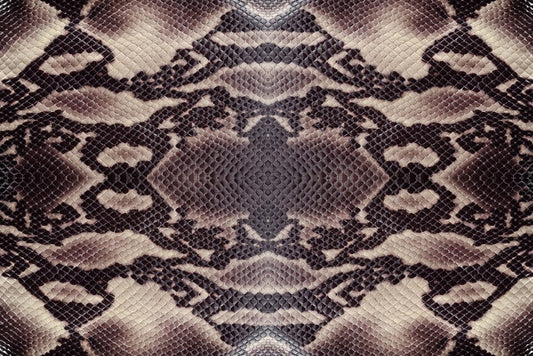 Home Decoration Wallpaper Mural Modeled After a Real Python Skin