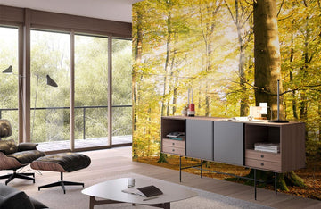 Autumn Forest Sunshine Mural Wallpaper