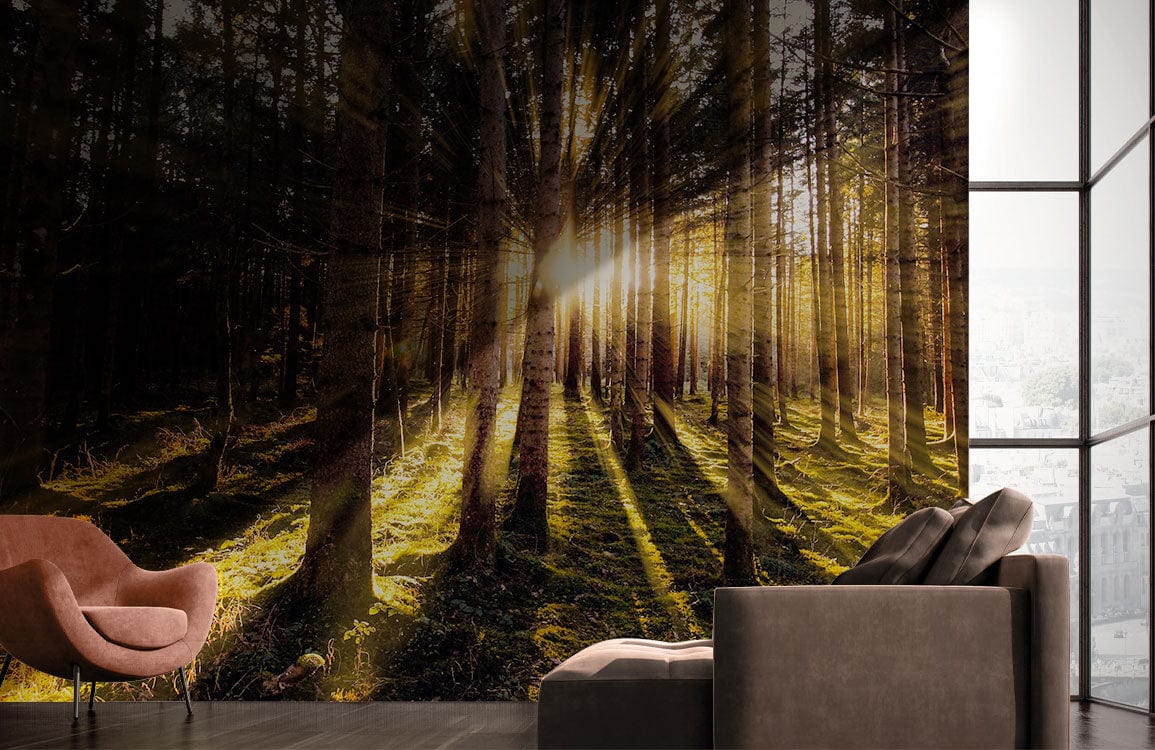 Scenery Wall Mural Wallpaper Design with Bright Lights in the Forest