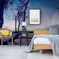 Wallpaper mural with a mystical night sky, perfect for decorating a bedroom