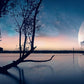 Home Decoration Wallpaper Mural of a Mystical Night Sky for Sale