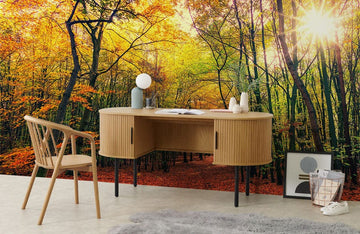 Maple Forest Landscape Wall Mural