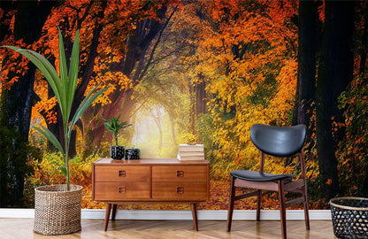 Maple Woods Arches Scenery Wallpaper Mural for Use as Decoration in Hallways
