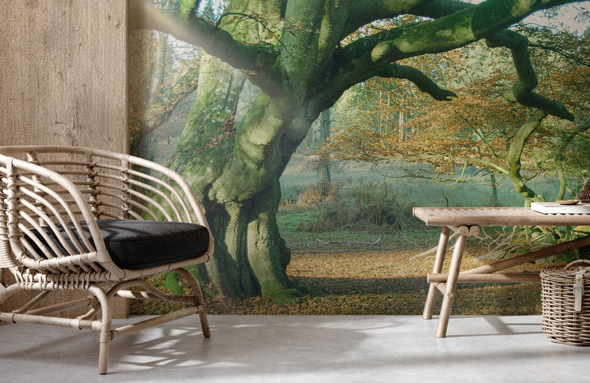 Wallpaper mural featuring a nature scene bathed in sunshine for use in decorating the hallway.