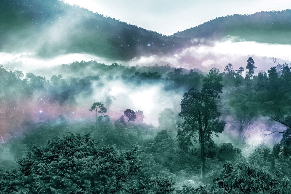 Misty Forest Abstract Landscape Mural Wallpaper