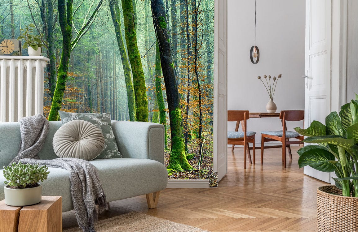 Enchanted Forest Scenery Wallpaper Mural