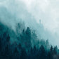Home Decoration Wallpaper Mural in Ombre Green with a Misty Forest Scene