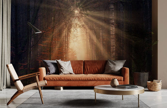 Wallpaper Mural for Home Decoration Featuring a Path in the Forest That Leads to Optimism