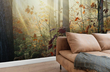 Autumn Forest Sunlight Mural Wallpaper