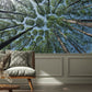 Sky in Forest Crevices Scenery Wallpaper Mural for the Decoration of the Hallway
