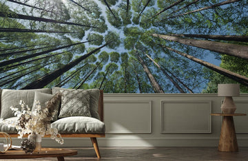 Emerald Forest Canopy Nature Mural Wallpaper