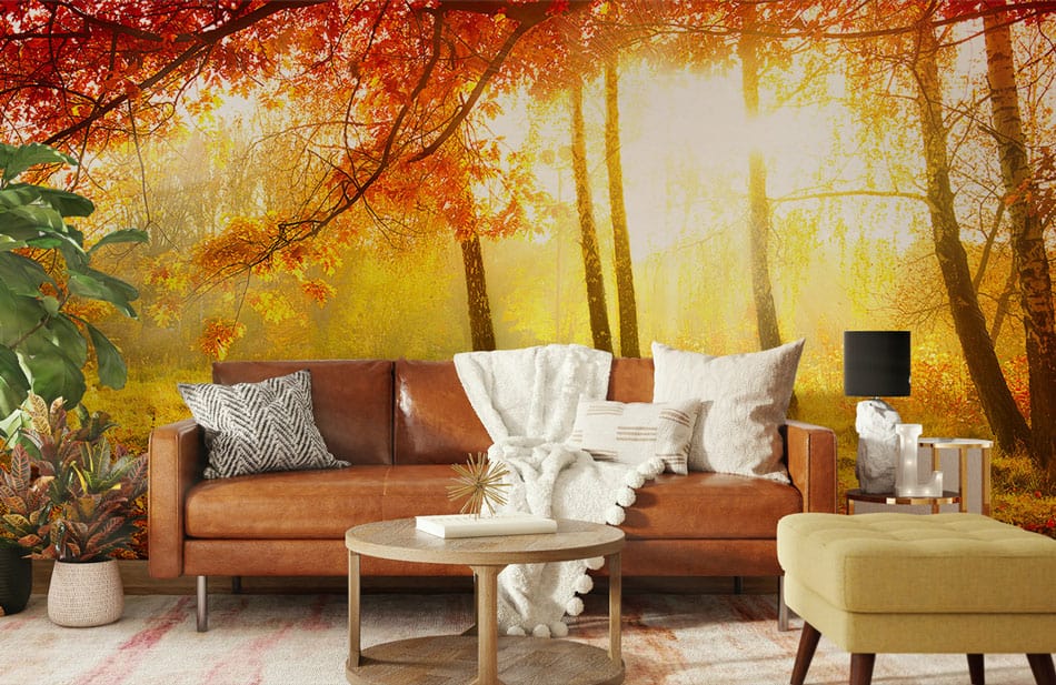 Wall Mural for Home Decoration Featuring a Bright Sunlight Trailing Through a Colorful Fall Forest Scene