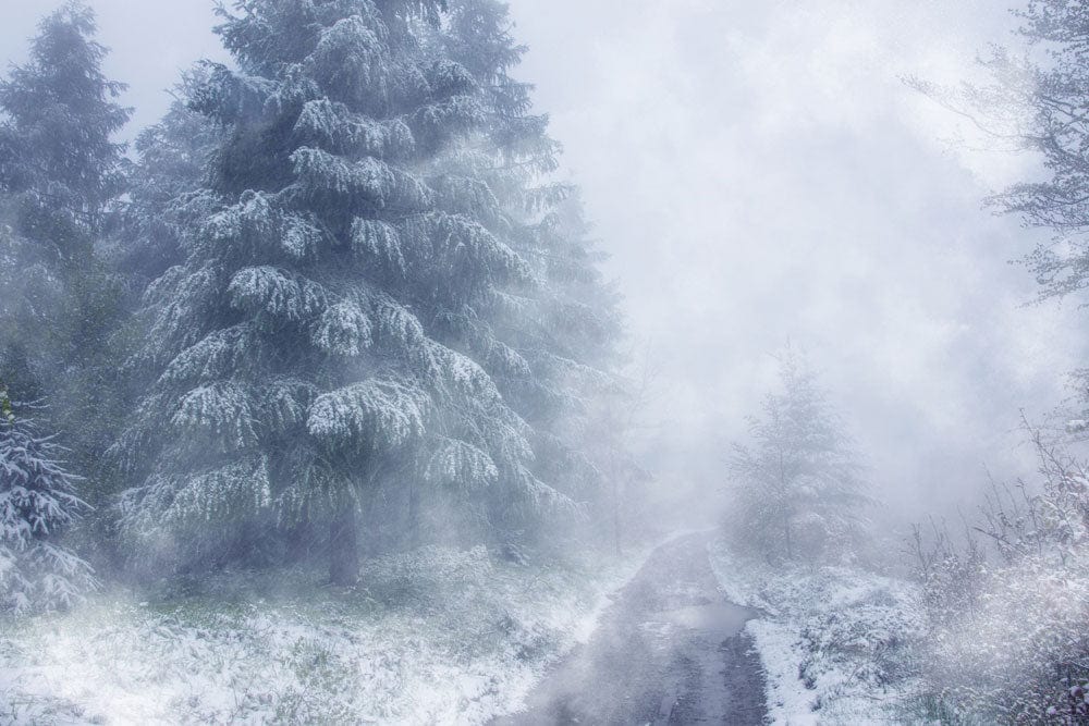 Misty Forest Winter Wonderland Mural Wallpaper