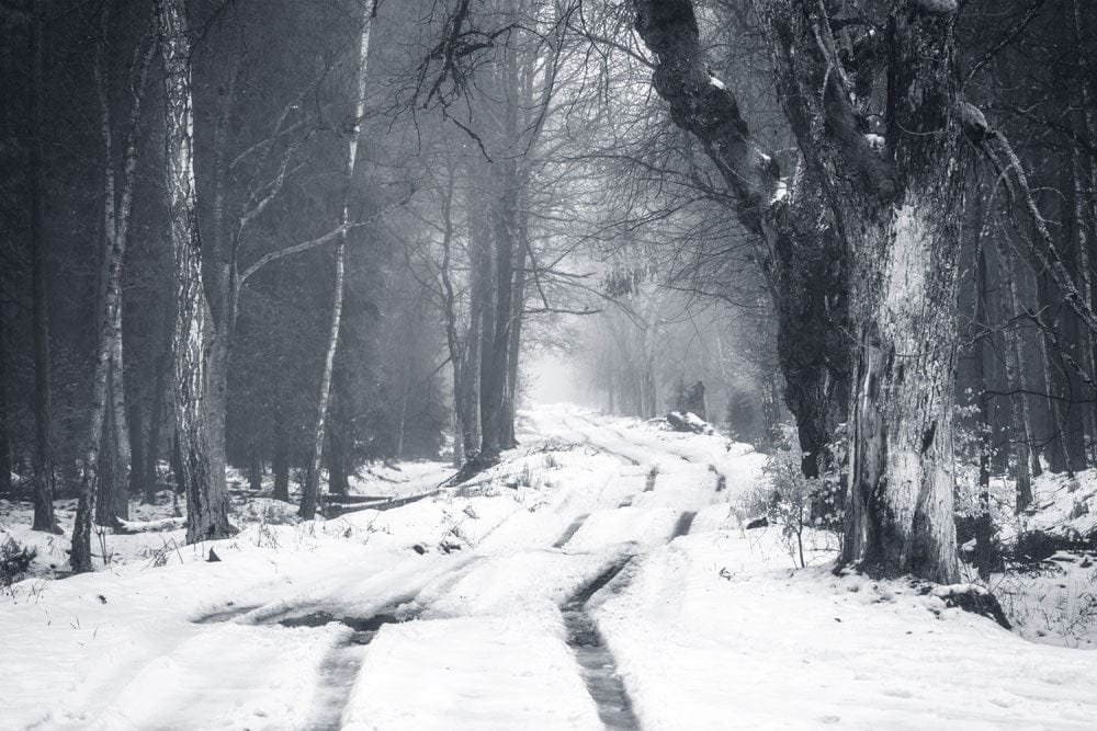 Wallpaper mural featuring a track through the snow for use in interior design.