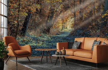 Autumn Forest Morning Wall Mural