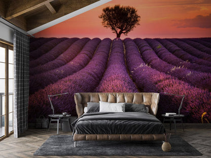 purple lavander flowers, tree and dreamy sunset mural decoration bedroom