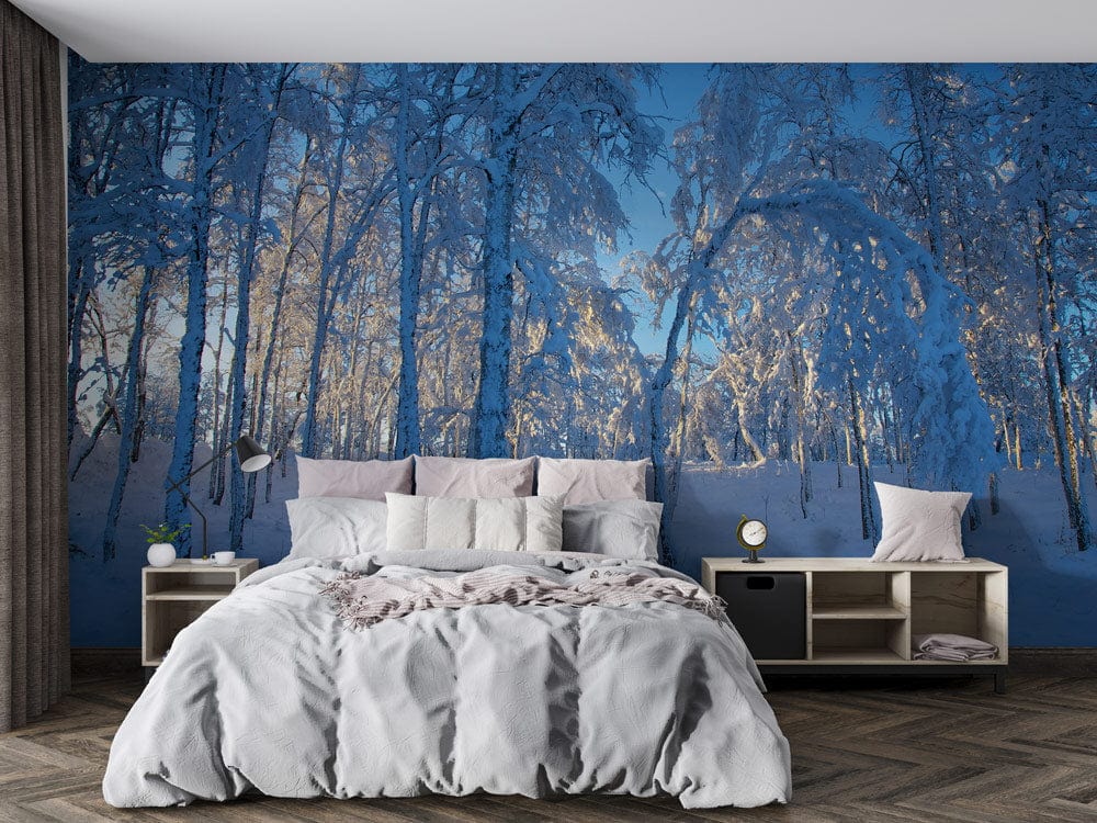 Snowy scenery of Kiruna forest wallpaper decoration