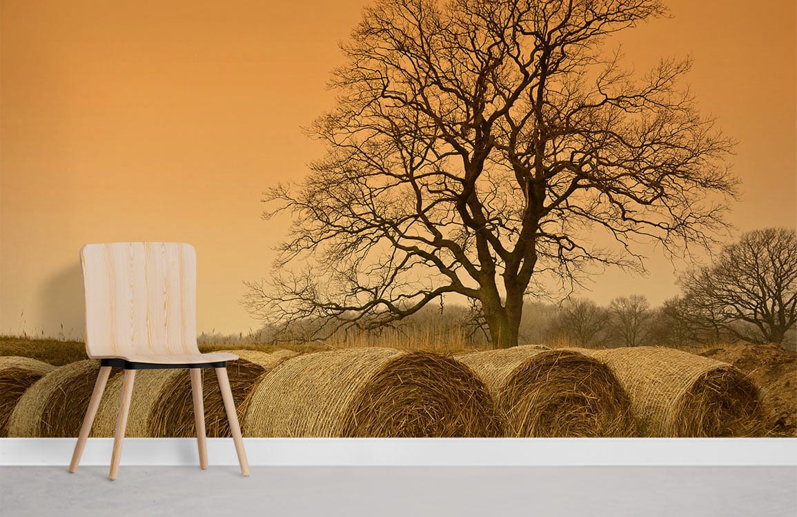 autumn view of meadow with bare trees wallpaper mural room