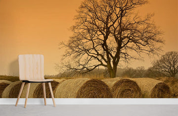 Rustic Farmhouse Hayfield Tree Mural Wallpaper
