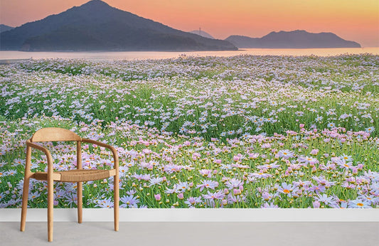 blooming daisies on the shore at dawn wallpaper mural for room