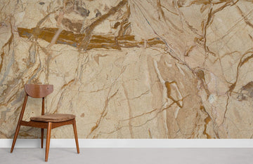 Elegant Gold Marble Texture Mural Wallpaper