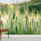 fresh wheat with dew in sunshine wallpaper mural