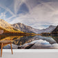 mountains in autumn. cloudy sky and clean lake wallpaper for home