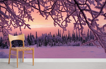 Serene Winter Forest Sunrise Mural Wallpaper