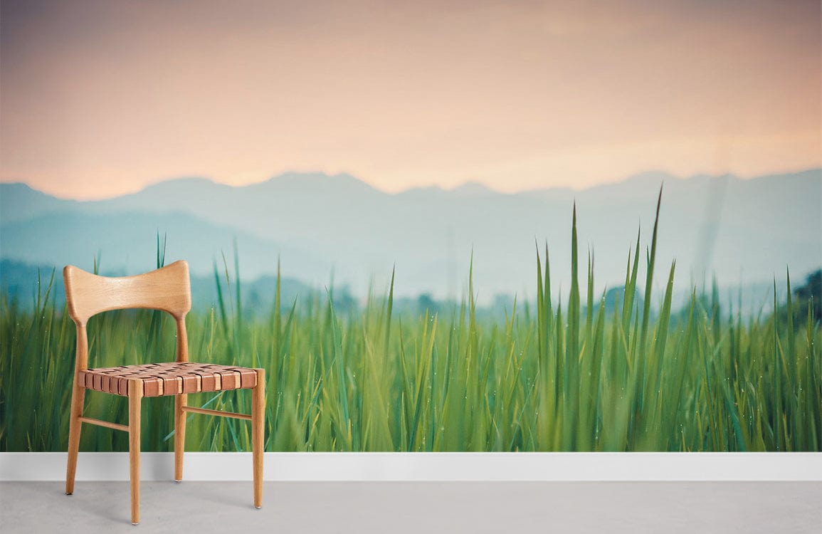 morning paddy field with mountains wallpaper mural design