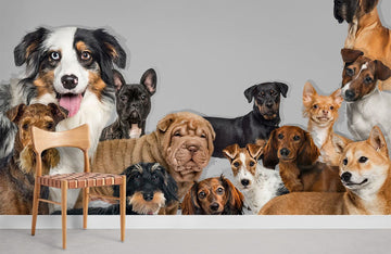 Playful Canine Companions Animal Mural Wallpaper